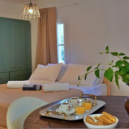Gefyra Naxos Apartment Filotion